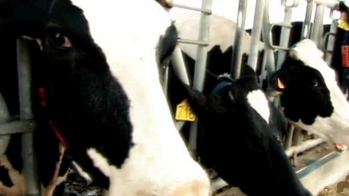 Aquí hay trabajo - Aquí hay trabajo - 27/11/15