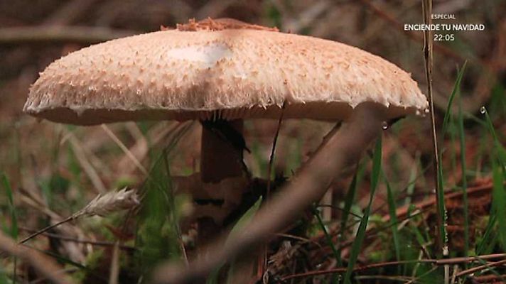 Aquí la Tierra - Aqu�� la Tierra - 27/11/15