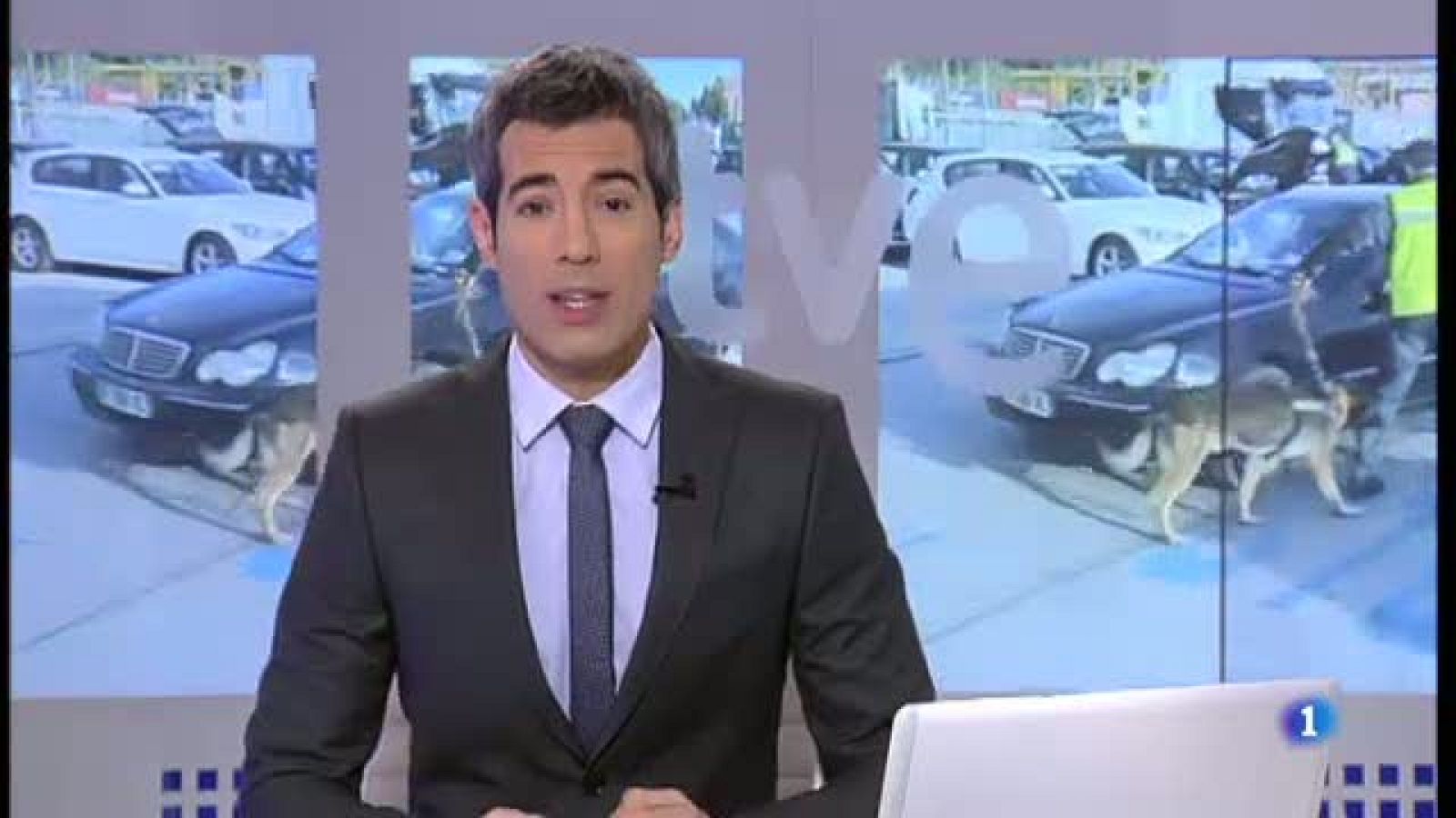 Gossos al servei de la gent