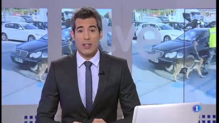 L'Informatiu - Gossos al servei de la gent