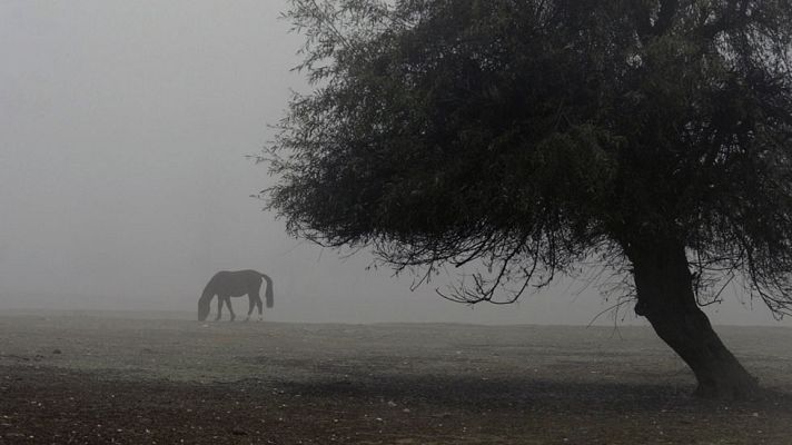 El tiempo - Viento fuerte en el Estrecho de Gibraltar y posibles nieblas en la meseta norte
