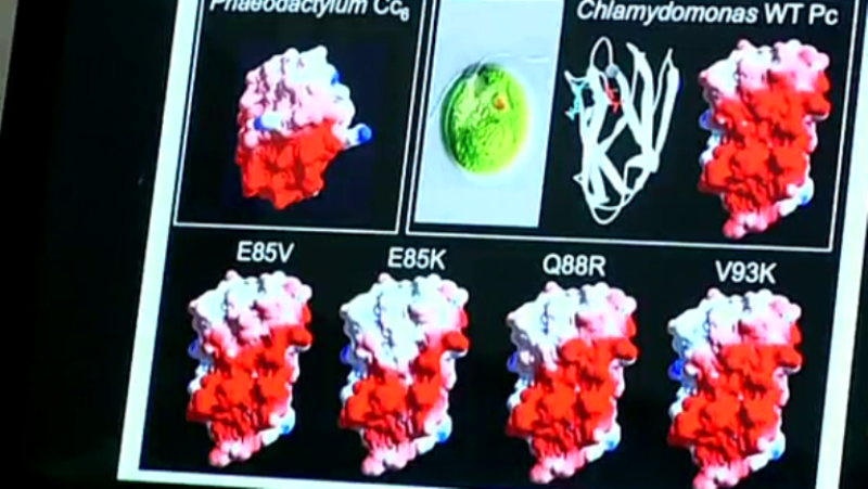 Fábrica de ideas - Innova: CicCartuja