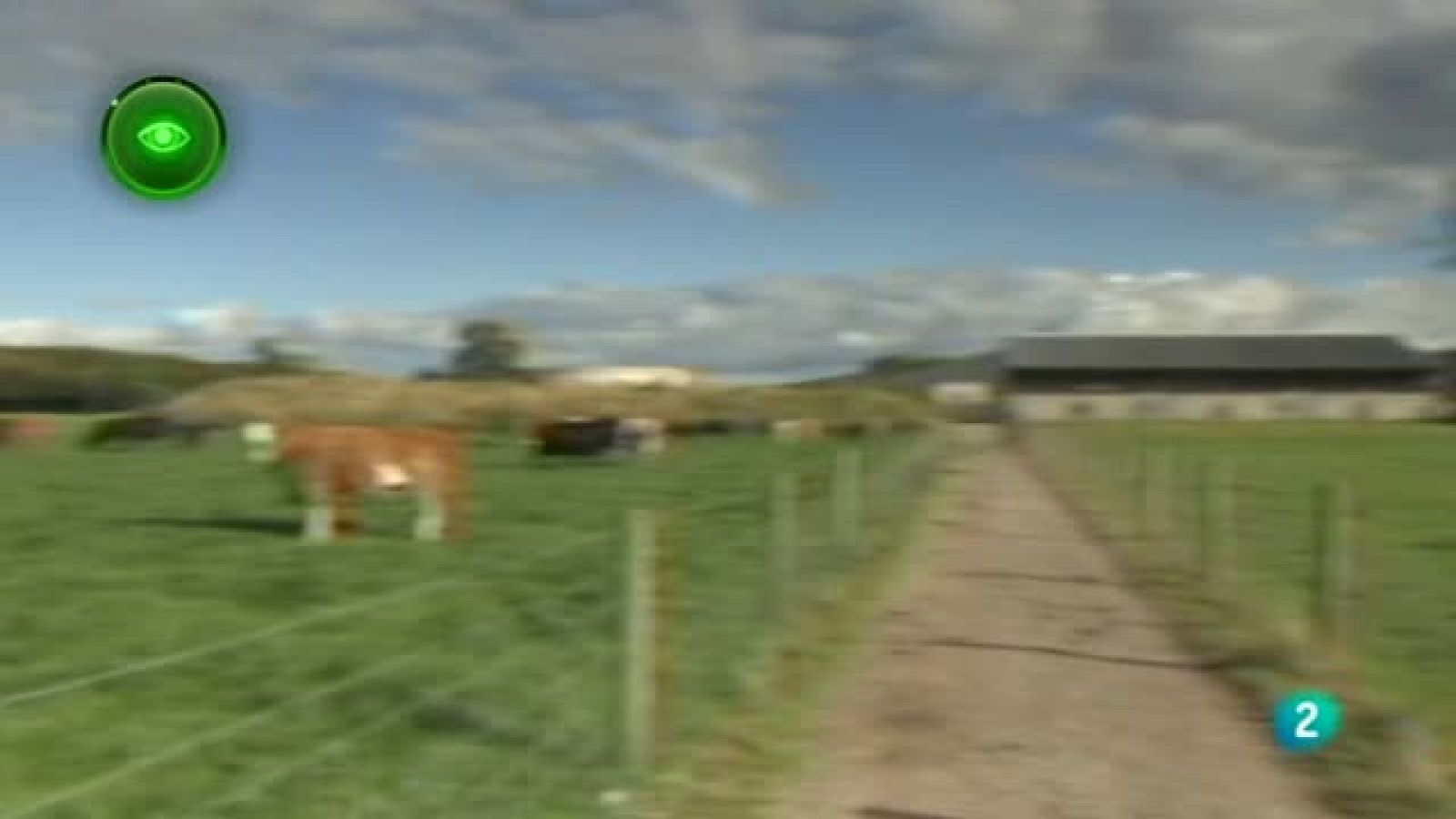 Agrosfera- En primer plano - Irlanda: un país de carne y leche.