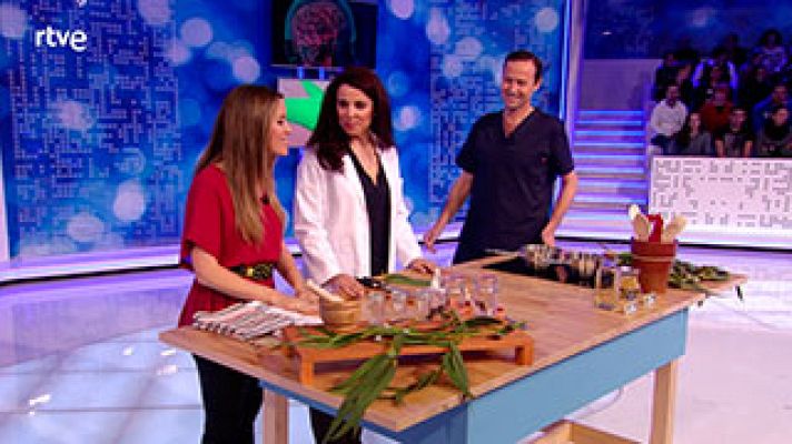  - Remedio casero para acabar con los piojos