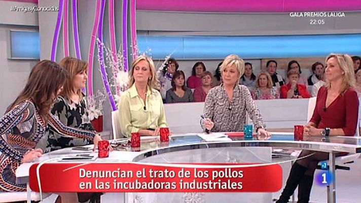 Amigas y conocidas - Amigas y conocidas - 30/11/15