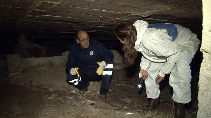 Comando Actualidad - Ratas