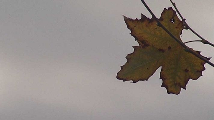 Informativo de Madrid - El Tiempo en la Comunidad de Madrid - 03/12/15