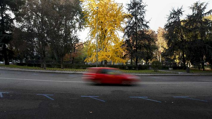 Telediario 1 - El acceso de coches a Madrid se podría restringir este lunes