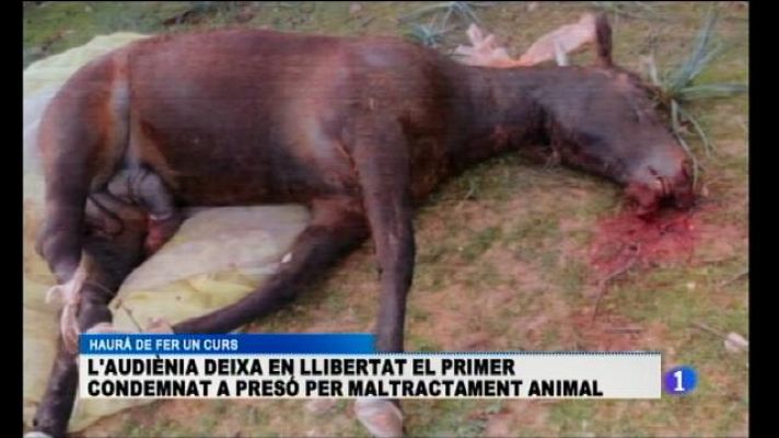 Informatiu Balear - Informatiu Balear 2 - 04/12/15