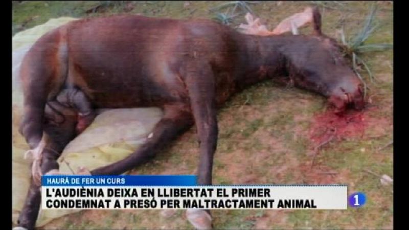 Informatiu Balear 2 - 04/12/15