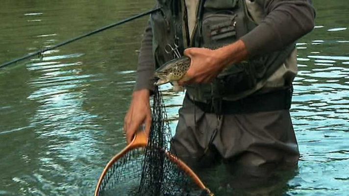 Jara y sedal - Regreso a los Pirineos, truchas y salvelinos
