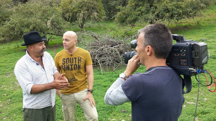 Aquí la Tierra - Ovejas canarias, con árbol genealógico