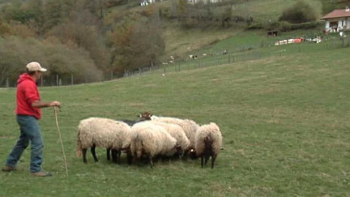 Aquí la Tierra - Aquí la Tierra - 04/12/15