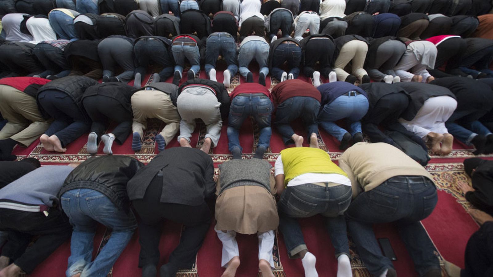 Preocupa la posibilidad de que aumente la islamofobia en Estados Unidos