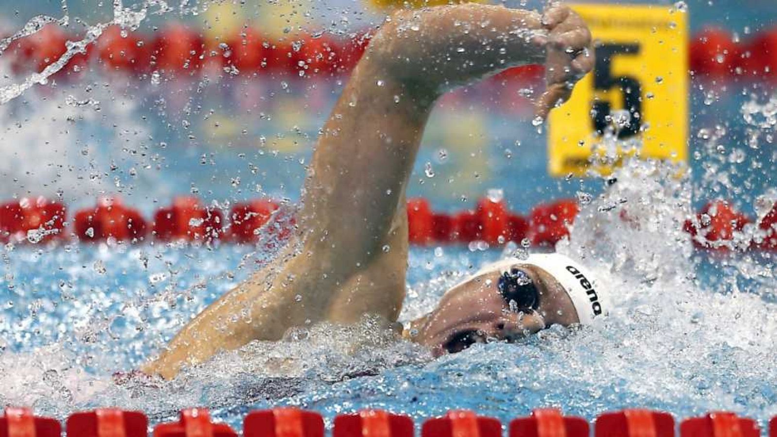 Natación - Campeonato de Europa en piscina corta: 5ª jornada: Finales - ver ahora