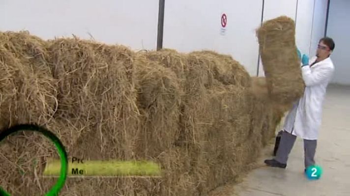 Agrosfera - Agrosfera - Laboratorio de ideas - Sostrice