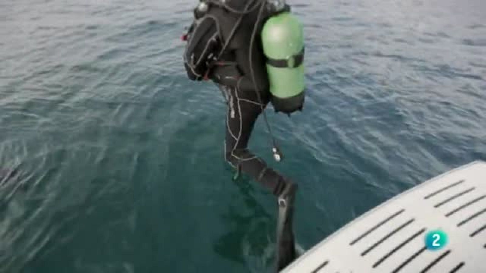 Agrosfera - En primer plano - Documental sobre el pulpo