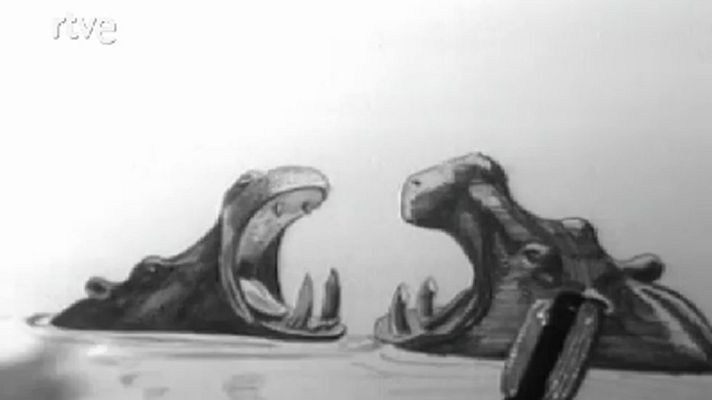 El planeta azul - Hay demasiados hipopótamos