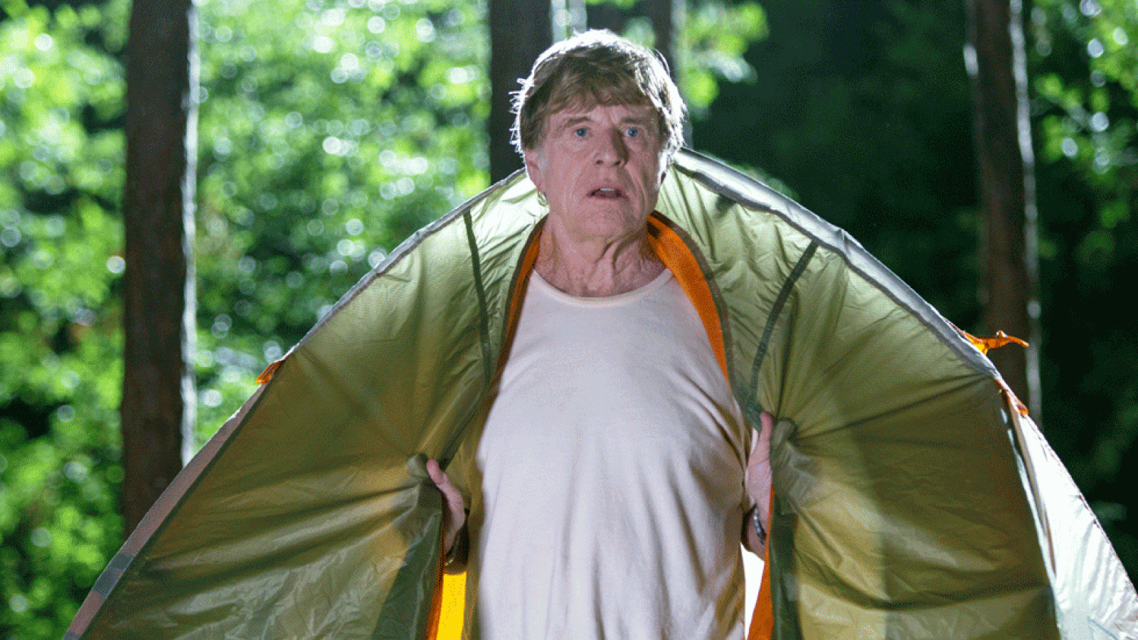 Tráiler de 'Un paseo por el bosque' | Ver