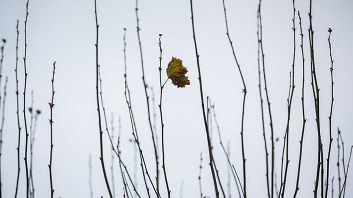 Informativo de Madrid - El Tiempo en la Comunidad de Madrid - 08/12/15