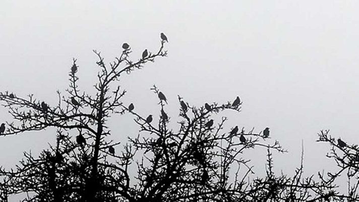 Informativo de Madrid - El Tiempo en la Comunidad de Madrid - 09/12/15