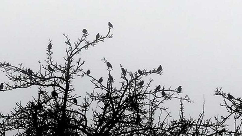 El Tiempo en la Comunidad de Madrid - 09/12/15