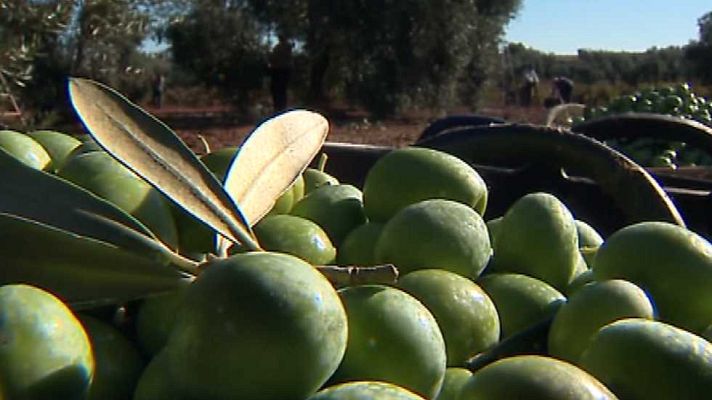 España en 24h - España en 24 horas - 09/12/15