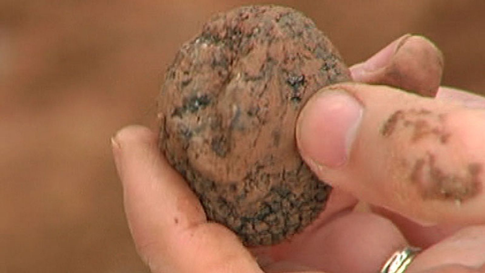 En busca del 'diamante negro'