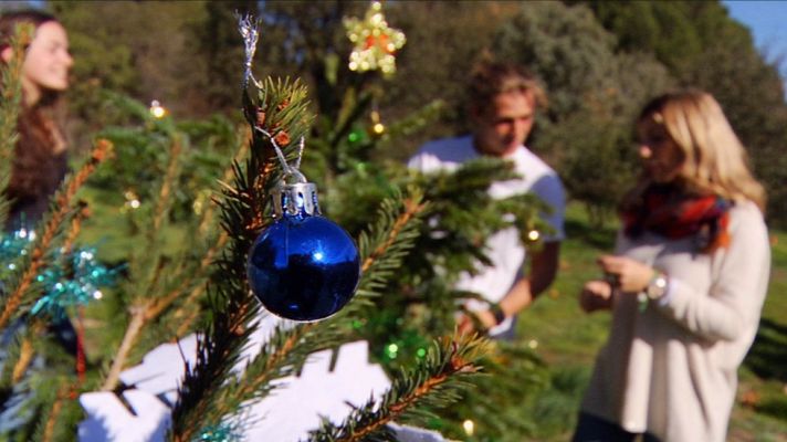 Aquí la Tierra - Cómo cuidar un árbol de Navidad