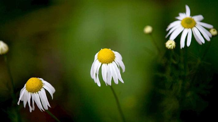Informativo de Madrid - El Tiempo en la Comunidad de Madrid - 10/12/15