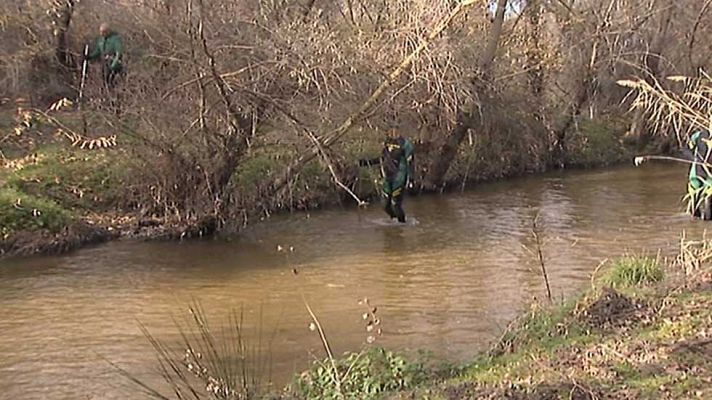 Informativo de Madrid - La Comunidad de Madrid en 4' - 10/12/15