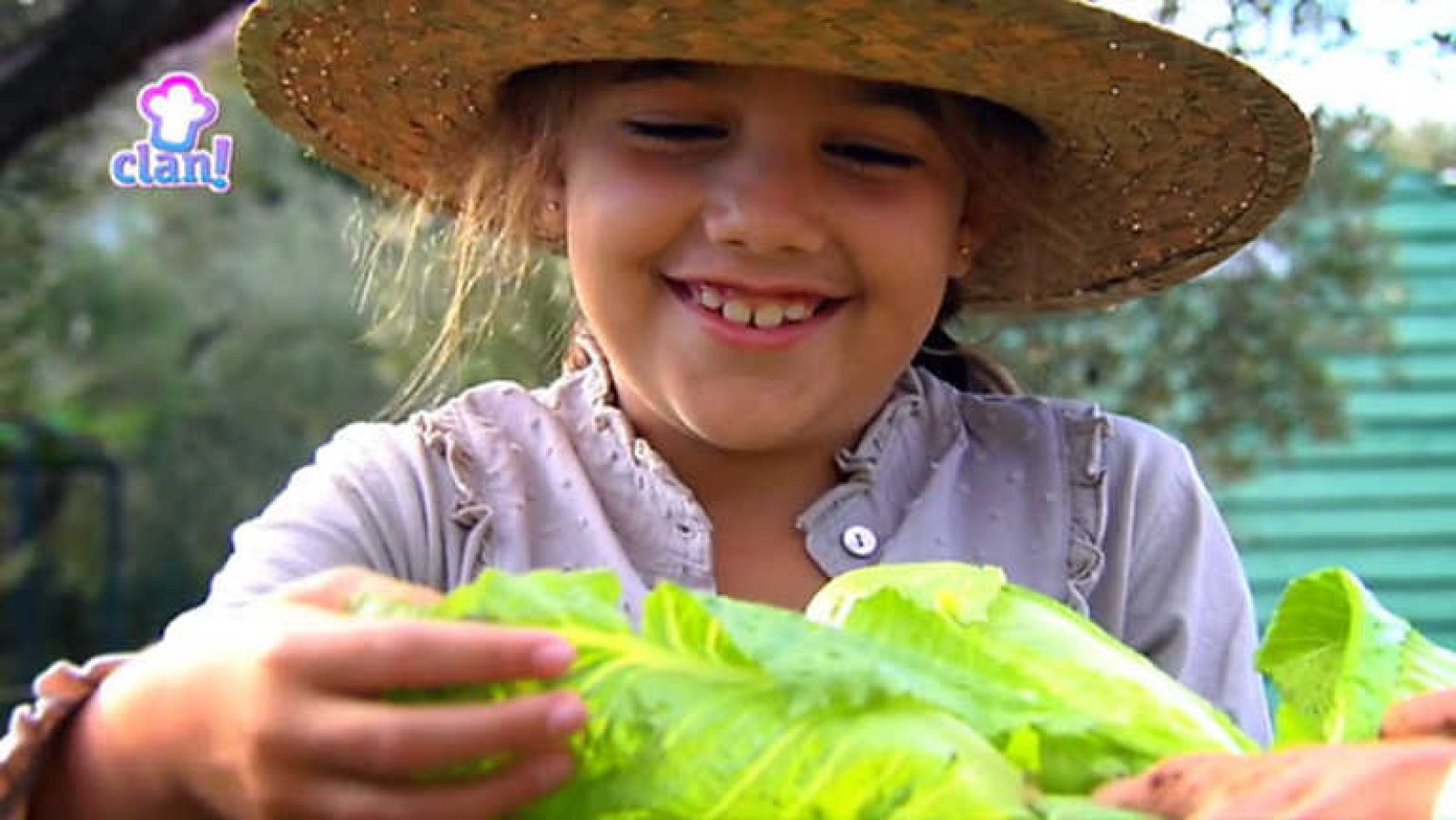 La lechuga - Cocina con Clan | Ver