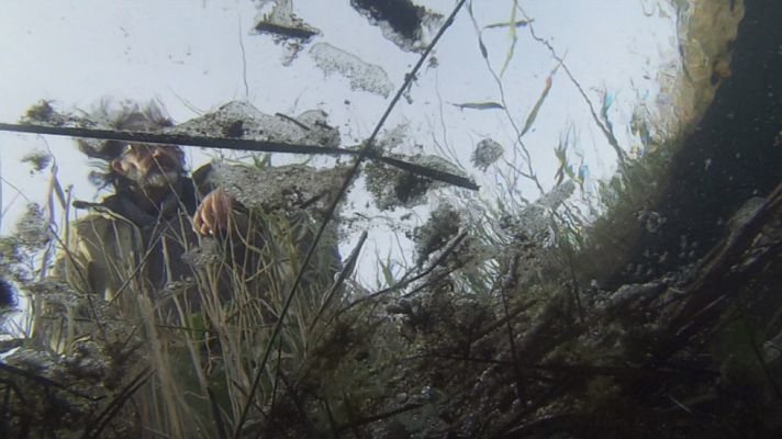 Aquí la Tierra - Luismi y el viaje del agua