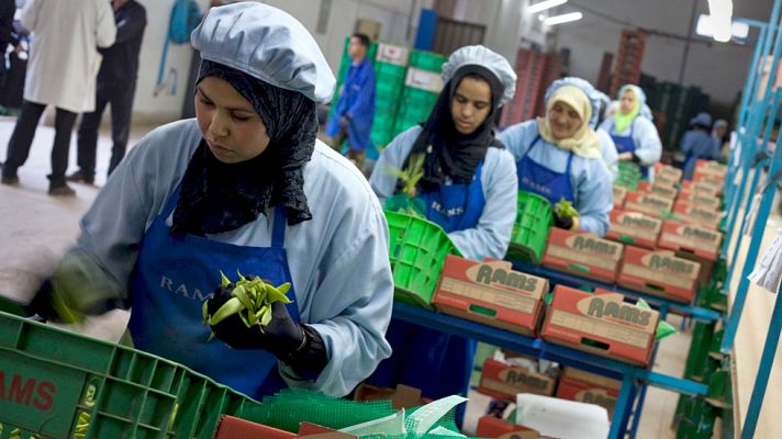 Telediario 1 - El Tribunal de Justicia de la UE anula la aplicación del acuerdo comercial con Marruecos en el Sáhara occidental