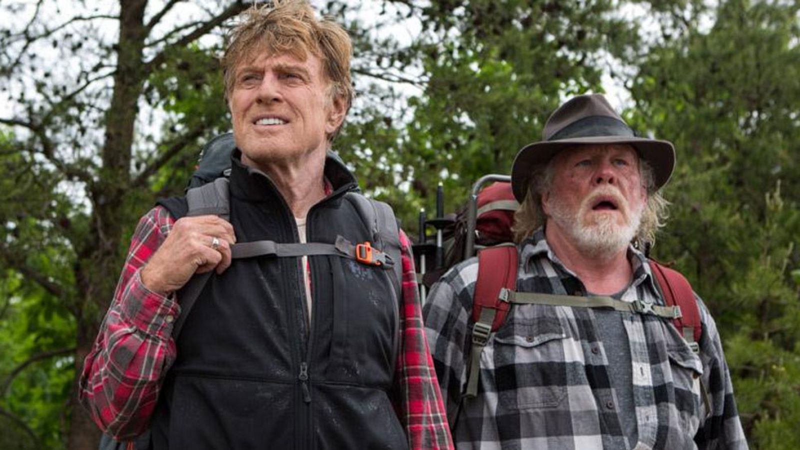 Un paseo por el bosque, de Robert Redford