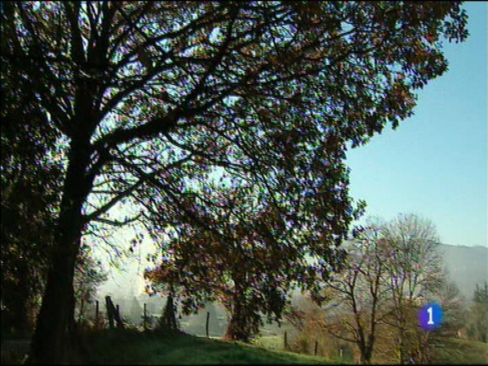 El tiempo en Asturias - 11/12/15 | Ver