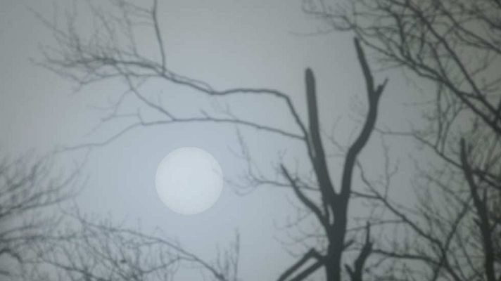 El tiempo - Nieblas en el interior de Galicia, el valle del Ebro y meseta norte