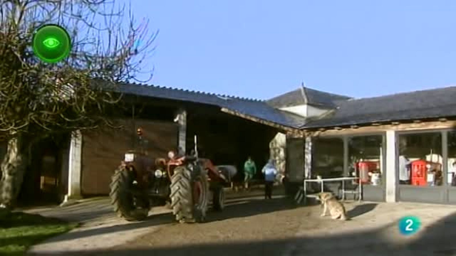 Agrosfera-En primer plano- Matanza