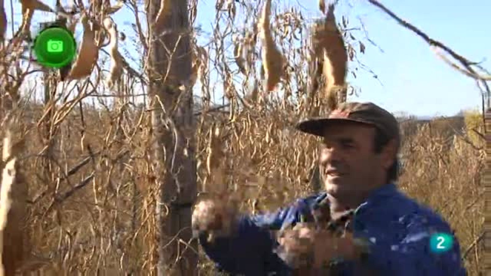 Agrosfera- En clave rural- El Barco de Ávila