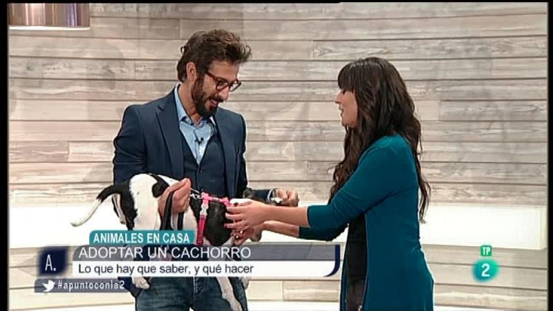 A punto con La 2 - Animales en casa