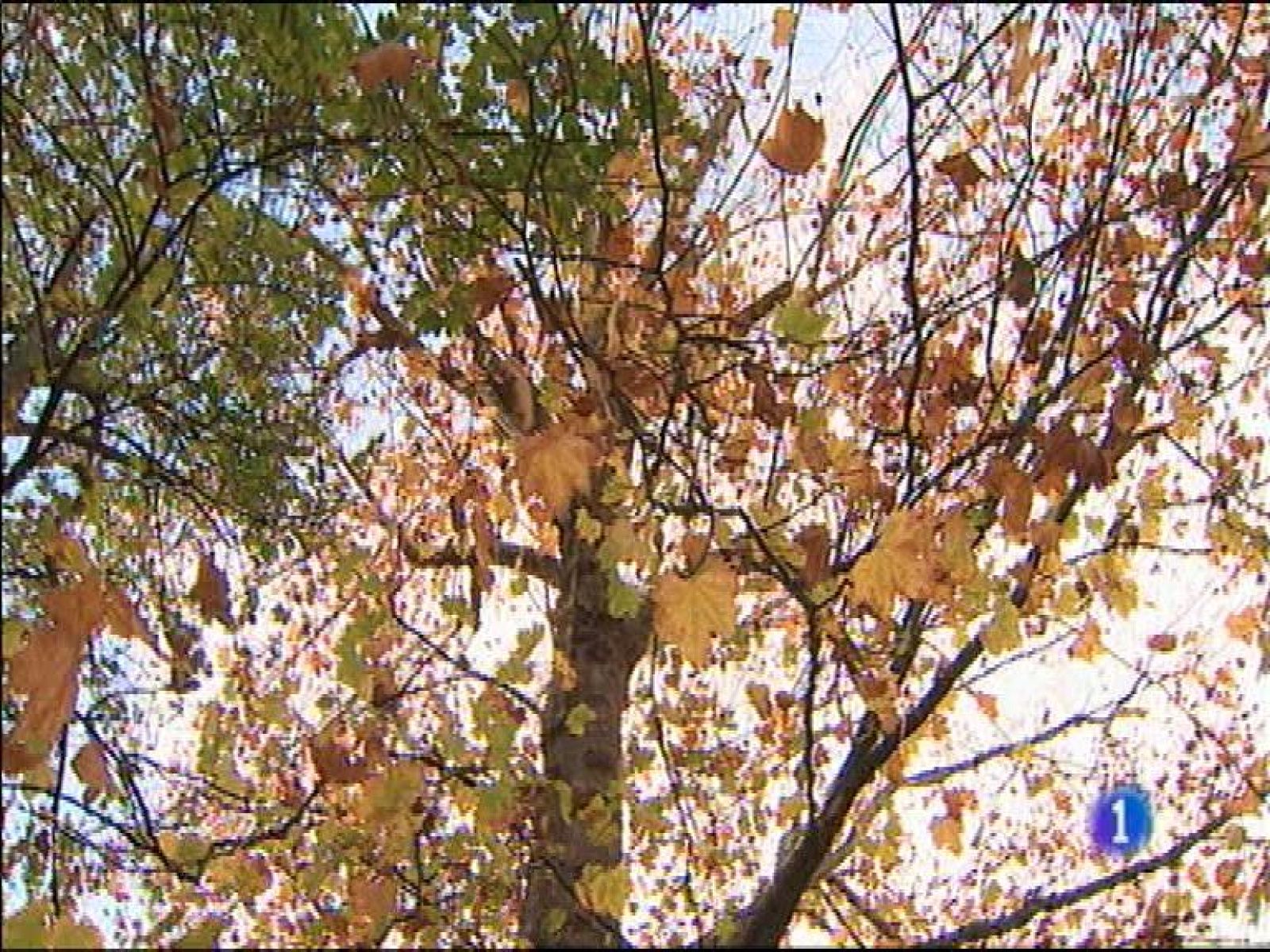 El tiempo en Asturas - 14/12/15 | Ver