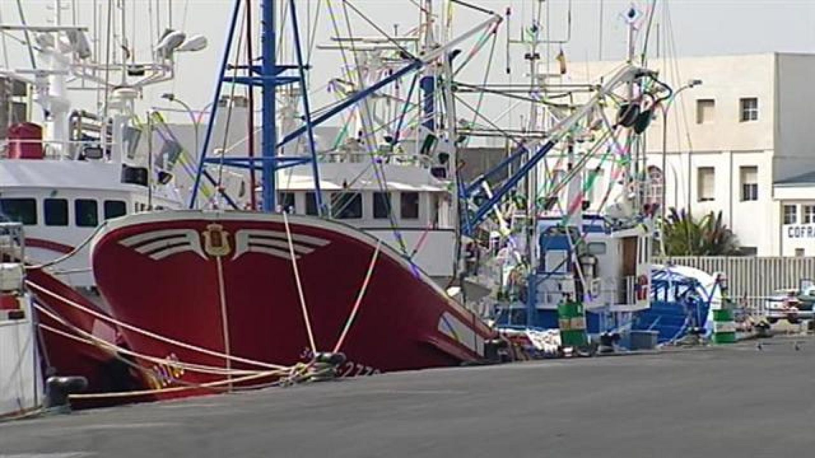 Telecanarias - 14/12/2015