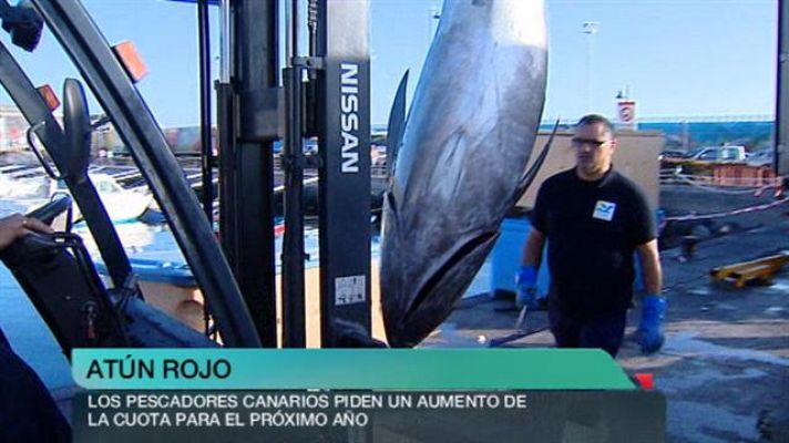 +Canarias - + Canarias - 14/12/2015