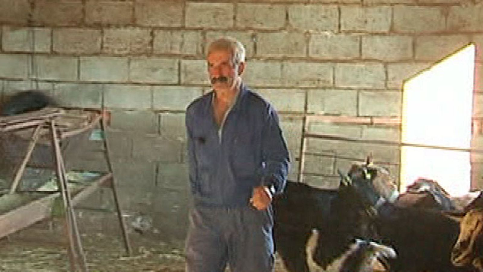 Cabreros por devoción