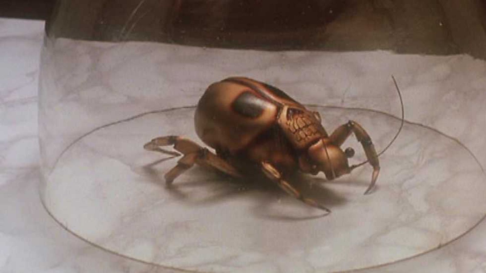 Mañanas de cine - El escarabajo de oro - Ver ahora