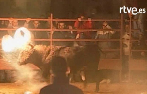  - Los festejos taurinos, a votación