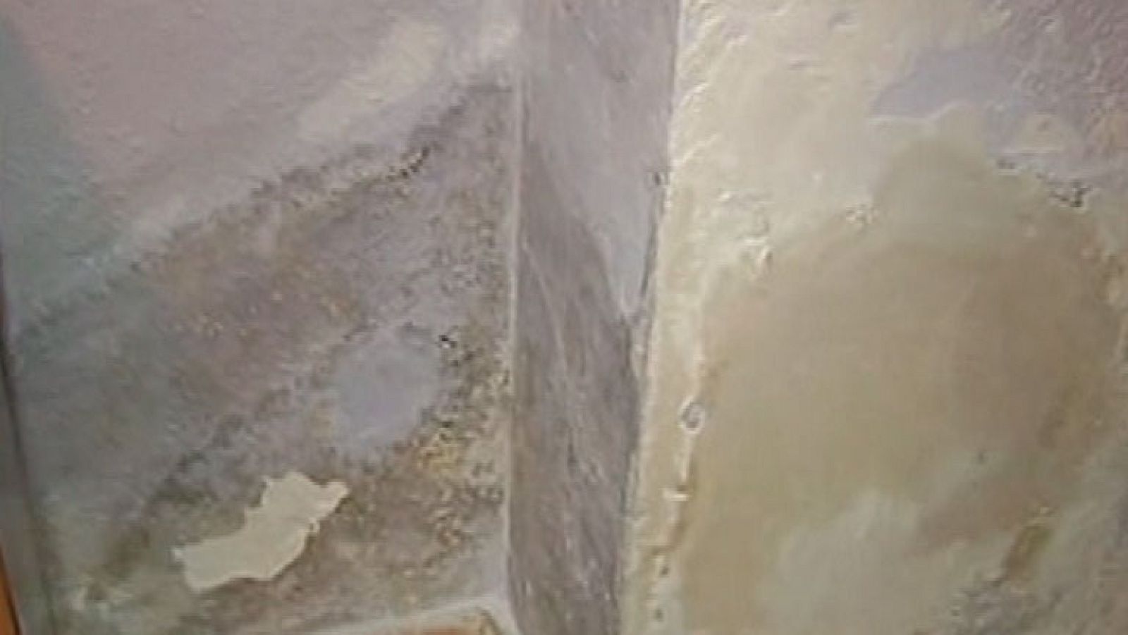 Obligados a irse de su hogar por las ratas