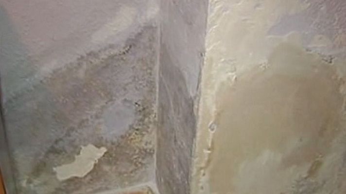 España Directo - Obligados a irse de su hogar por las ratas