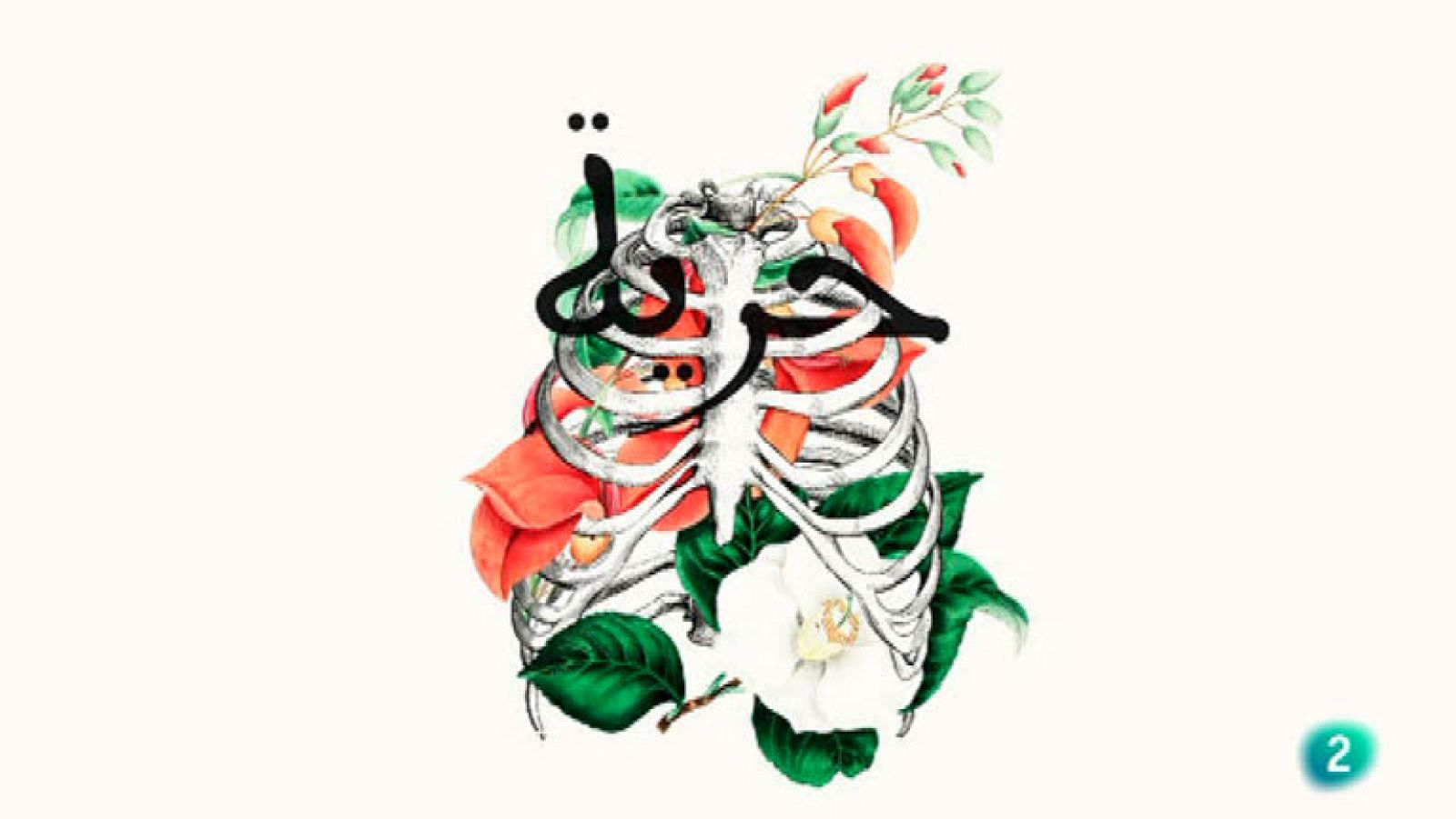 La Aventura del Saber. Serie Boek Visual. Nano Torres