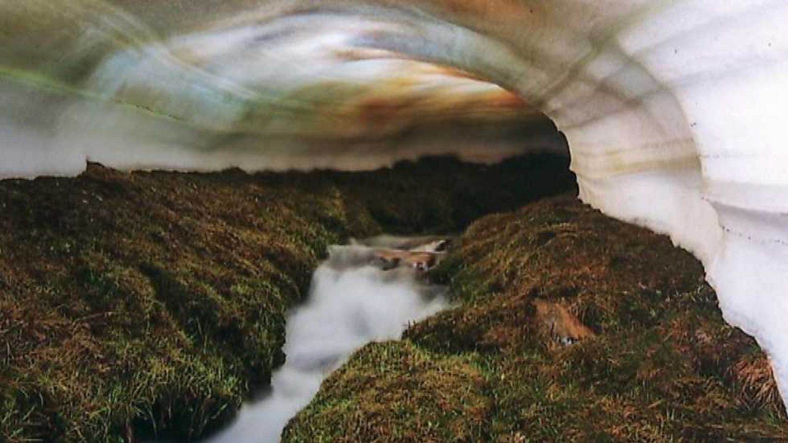 La aventura del saber - 17/12/15 - Ver ahora